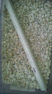 Pea Gravel (2)