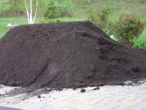 Top Soil